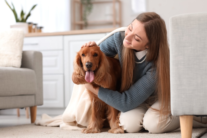 A young woman in a cozy home setting gently embraces a happy brown spaniel with its tongue out, showcasing a moment of affection and companionship - Pet Dental Care