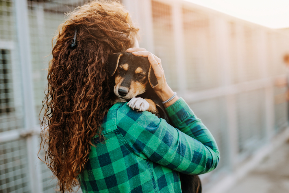 A woman in a green plaid shirt hugs a small dog in an outdoor setting, likely at an animal shelter - Veterinarian Elk Grove CA A woman in a green plaid shirt hugs a small dog in an outdoor setting, likely at an animal shelter - Veterinarian Elk Grove CA